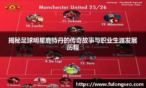 揭秘足球明星鹿特丹的传奇故事与职业生涯发展历程